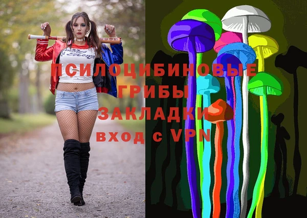 СК Магадан