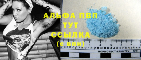 СК Магадан