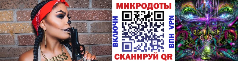 Псилоцибиновые грибы Psilocybine cubensis  Нолинск 